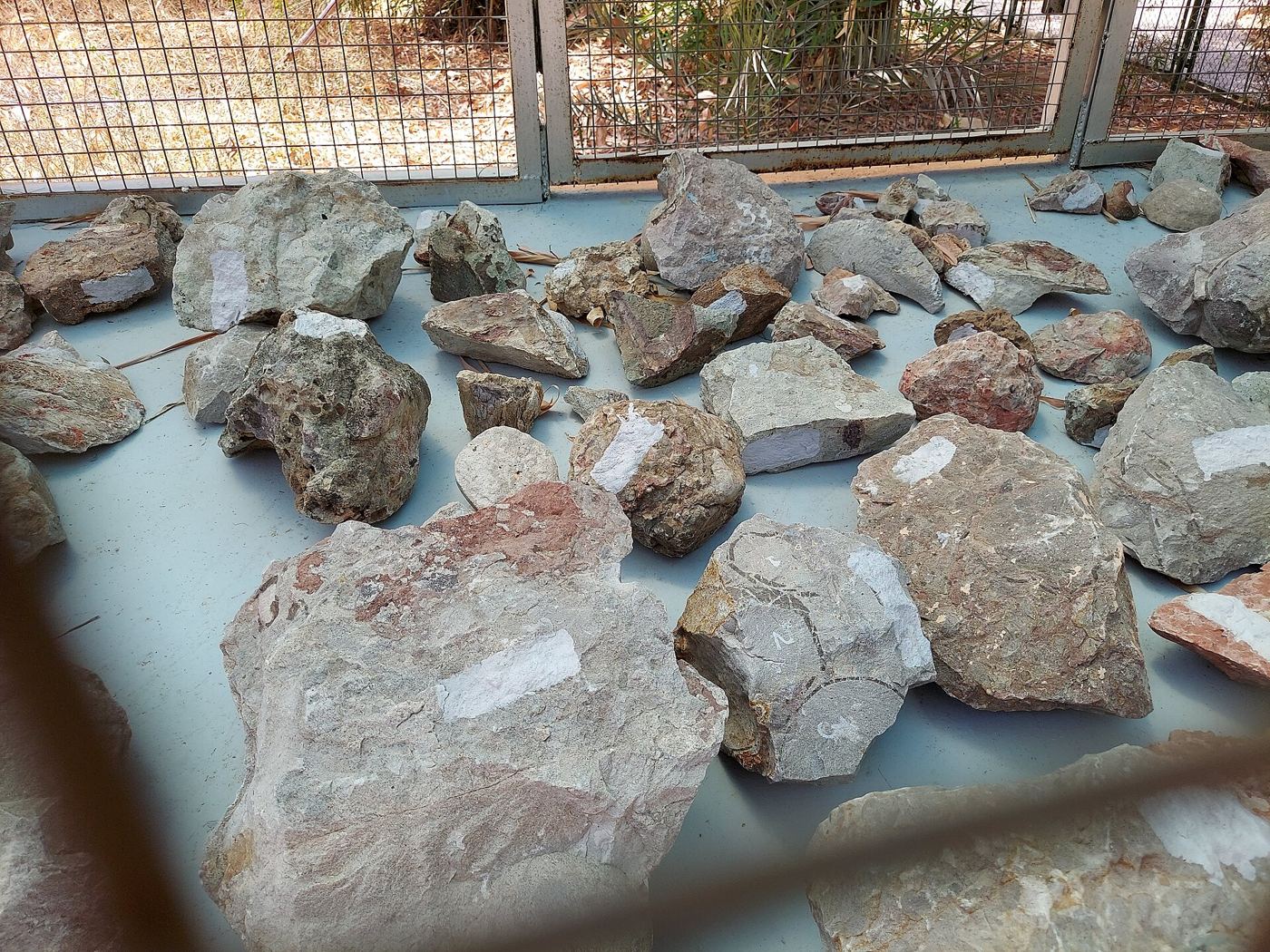 Researchers excavating a fossil site